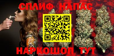 бошки Камышлов