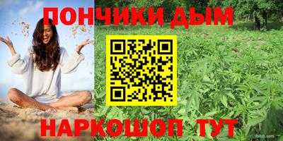 бошки Камышлов