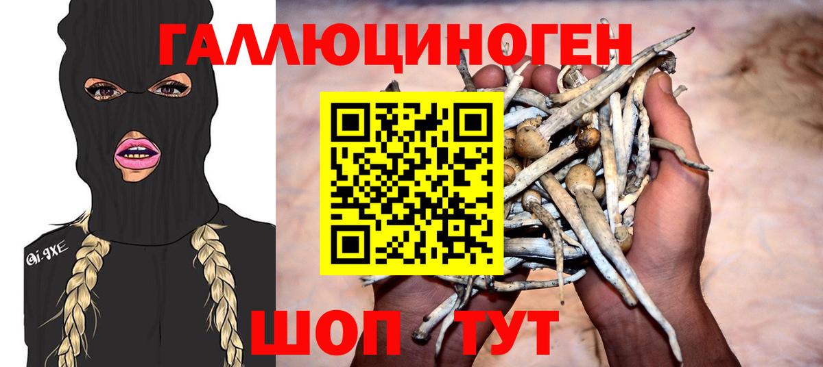 Псилоцибиновые грибы Magic Shrooms  Вход с VPN  купить наркотики цена  Азов 